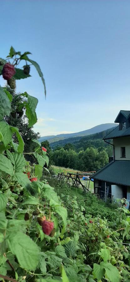Willa Monte Neve Stronie Śląskie Eksteriør bilde